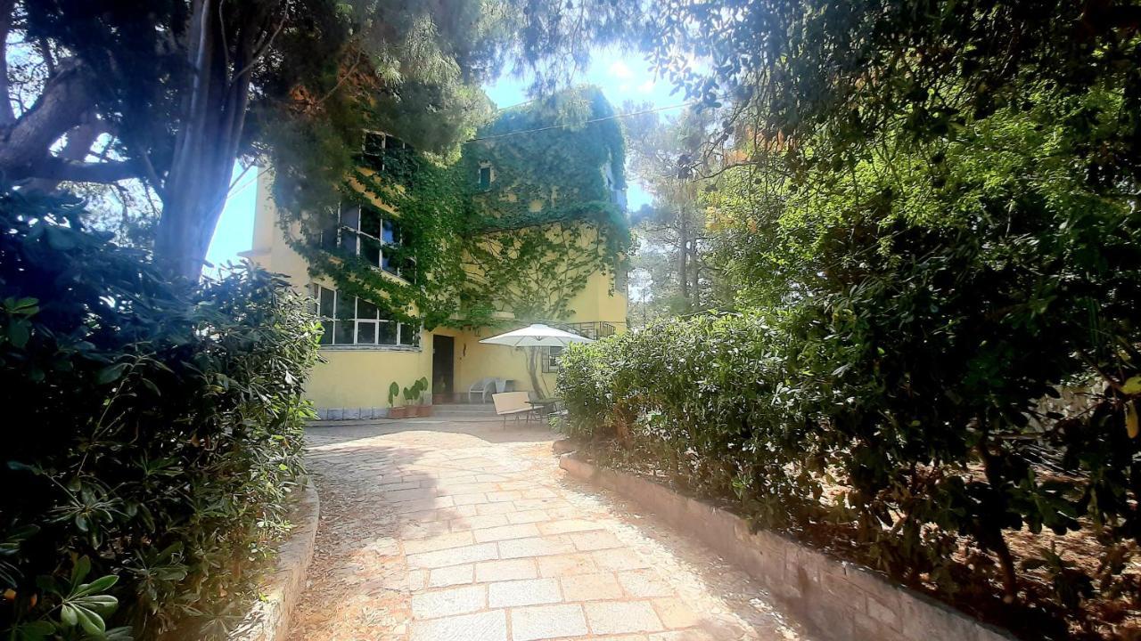 Old Captain'S Apartments - In A Pine Wood By The Sea And Tennis Courts Split Kültér fotó