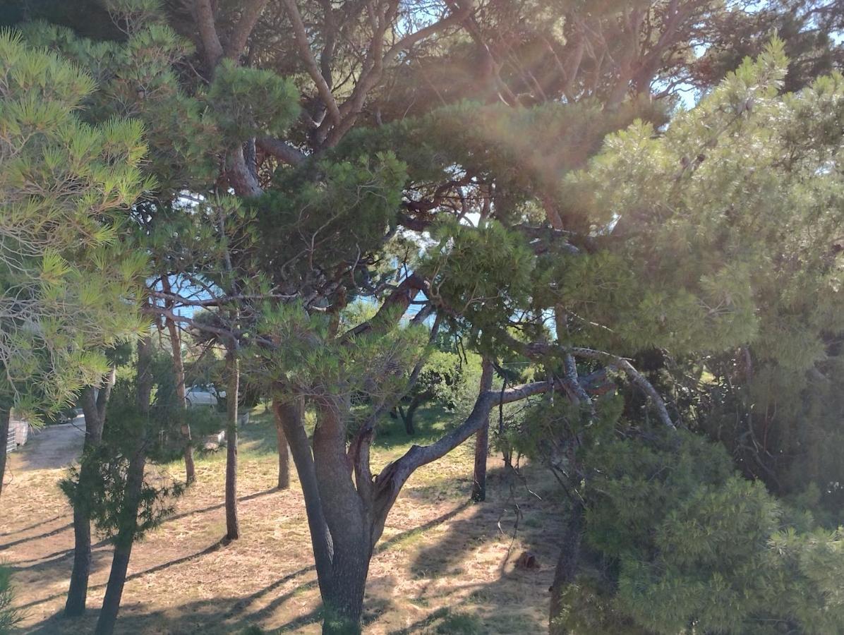 Old Captain'S Apartments - In A Pine Wood By The Sea And Tennis Courts Split Kültér fotó